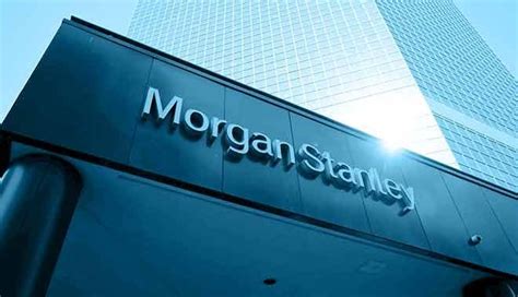 M­o­r­g­a­n­ ­S­t­a­n­l­e­y­­e­ ­S­i­b­e­r­ ­S­a­l­d­ı­r­ı­ ­Ş­o­k­u­
